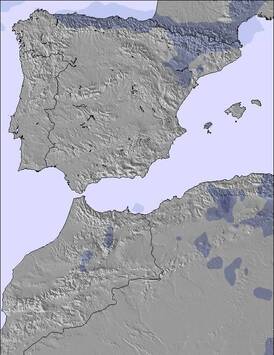 Spain / Portugal Snow Forecast