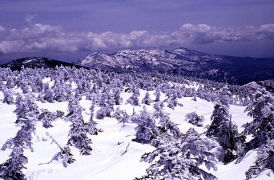 Azuma photo