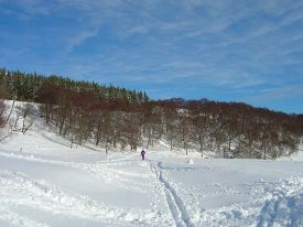 Nordic Mountain photo
