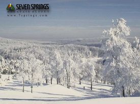 Seven Springs Mt photo