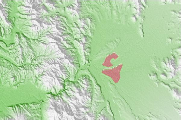 @{@location.name} neighbourhood basemap