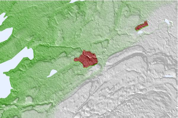 @{@location.name} neighbourhood basemap