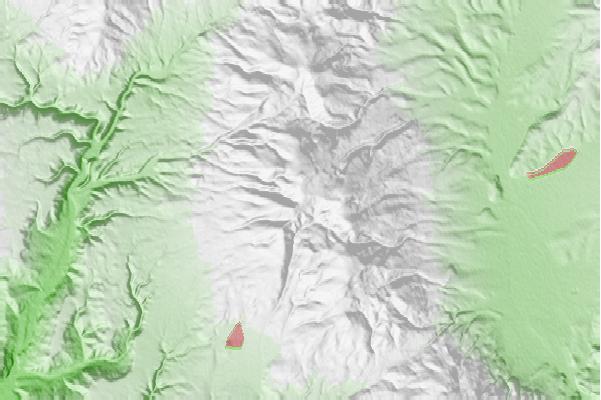 @{@location.name} neighbourhood basemap