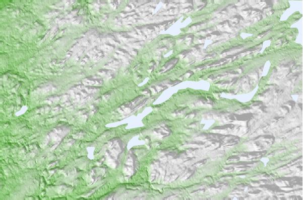 @{@location.name} neighbourhood basemap