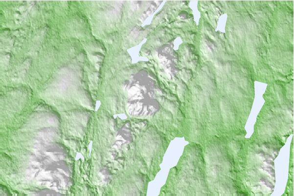 @{@location.name} neighbourhood basemap