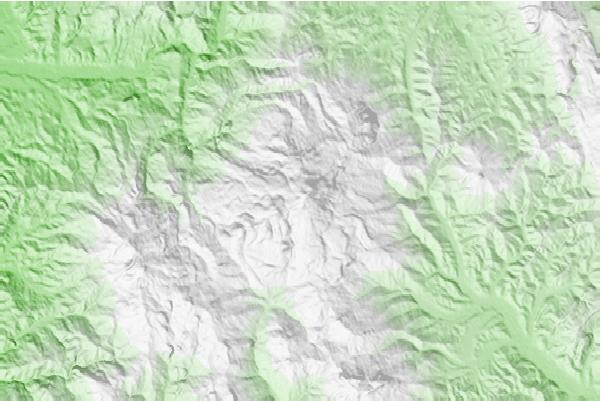 @{@location.name} neighbourhood basemap