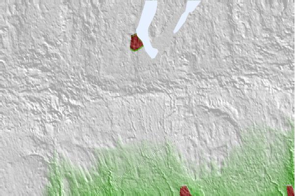 @{@location.name} neighbourhood basemap