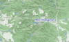 Local Map